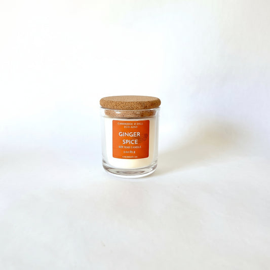 Ginger Spice Soy Wax Candles-Seasonal
